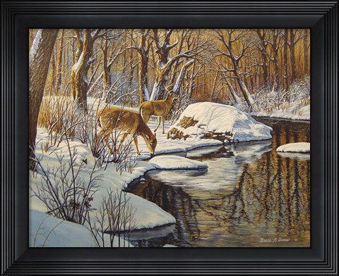 Framed Quinnipiac River White Tails Print
