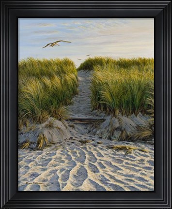 Framed Dune Path Gull Print