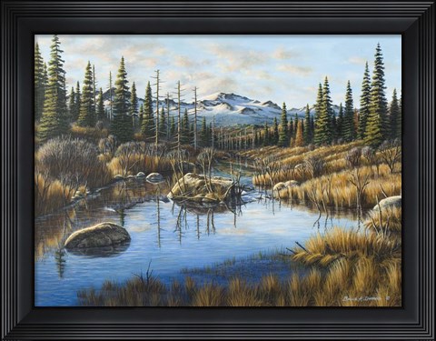 Framed Mountain Vista Print