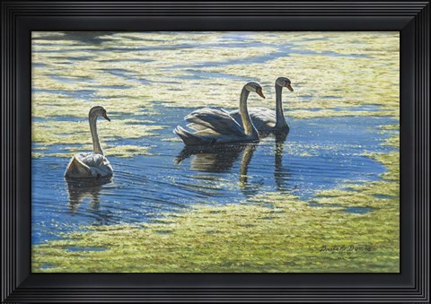 Framed Three&#39;s Company Print