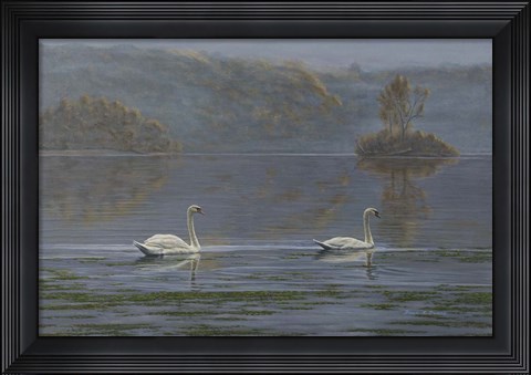 Framed Misty Morning Print