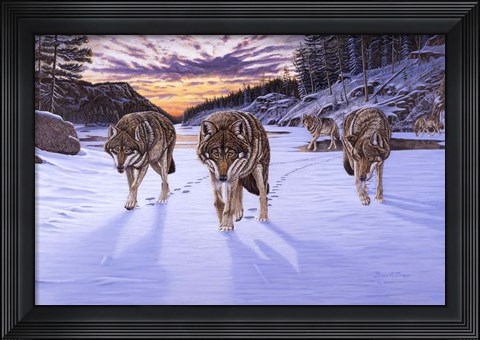 Framed Born To Be Wild Print