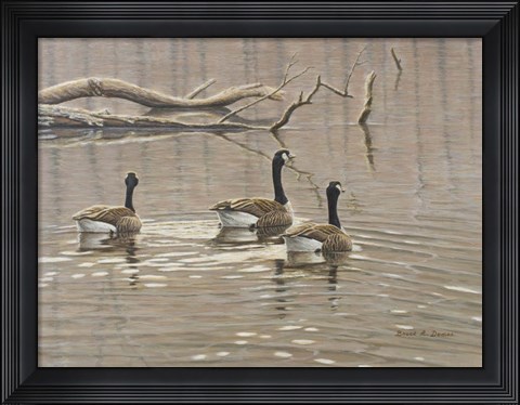 Framed Early Spring Geese Trio Print