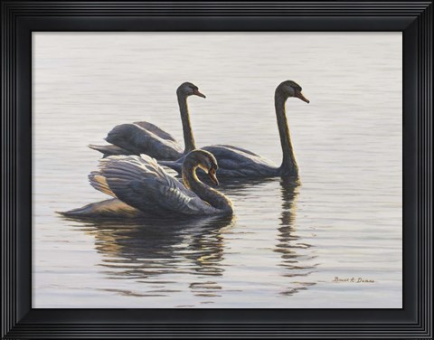 Framed Shore Patrol Print