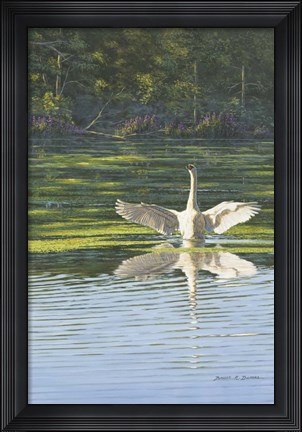 Framed Morning Stretch Print