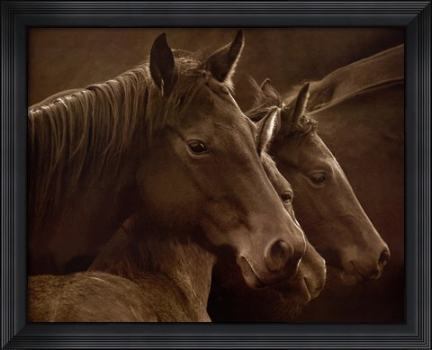 Framed Tenderness Print
