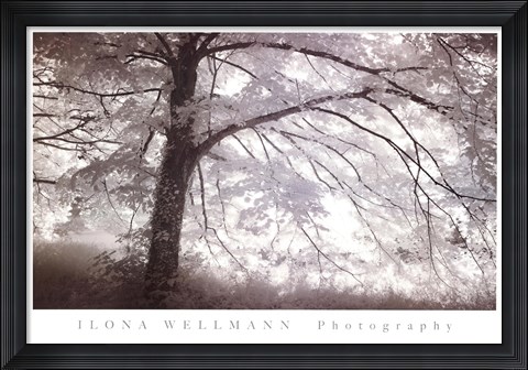 Framed Secret Place Print