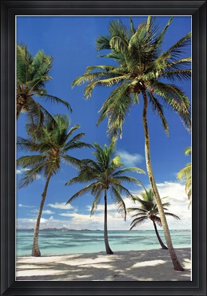 Framed Perfect Day Print