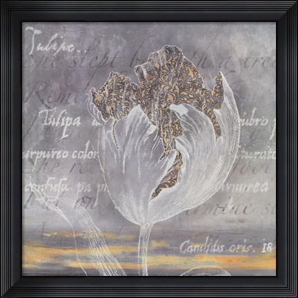 Framed Botanic Dove I Print
