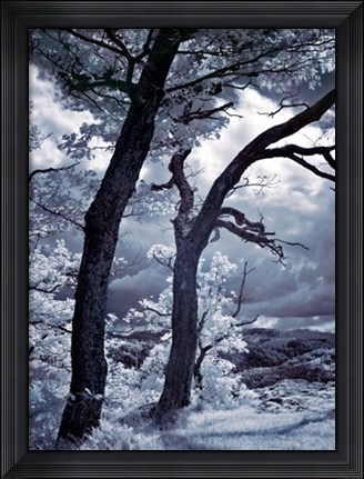 Framed Illimination II Print