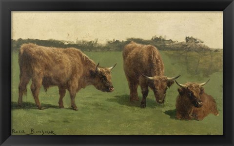 Framed Three Studies of Reddish-Haired Cows on a Meadow Print