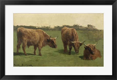 Framed Three Studies of Reddish-Haired Cows on a Meadow Print