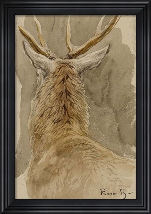 Framed Study of a Deer Print