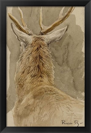 Framed Study of a Deer Print