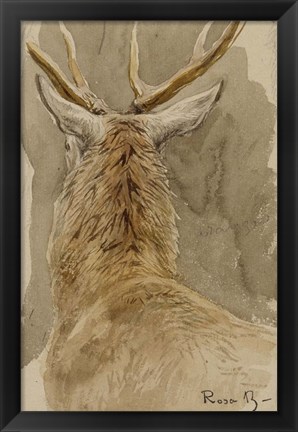 Framed Study of a Deer Print