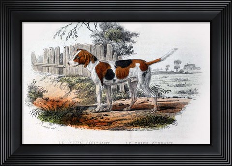 Framed Dog I Print