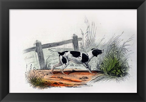 Framed Dog II Print