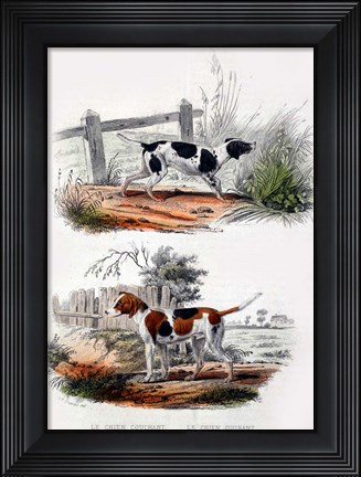 Framed Pair of Dogs I Print