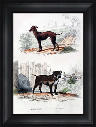 Framed Pair of Dogs II Print