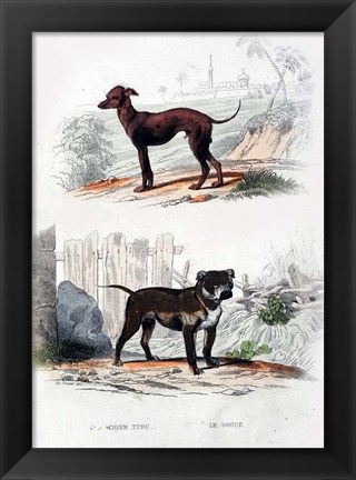 Framed Pair of Dogs II Print