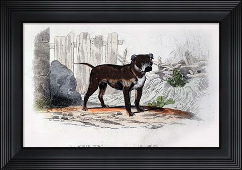 Framed Dog IV Print