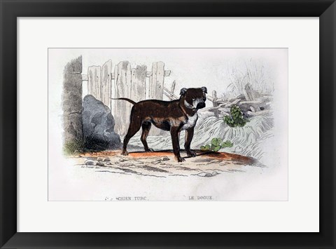 Framed Dog IV Print