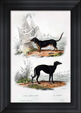 Framed Pair of Dogs III Print