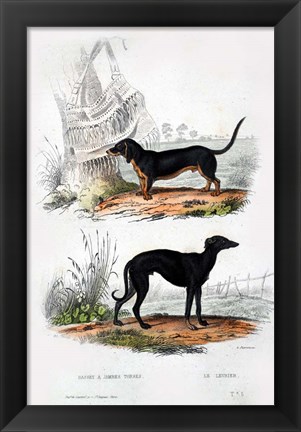 Framed Pair of Dogs III Print