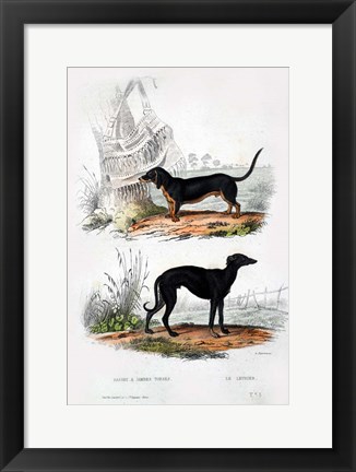 Framed Pair of Dogs III Print