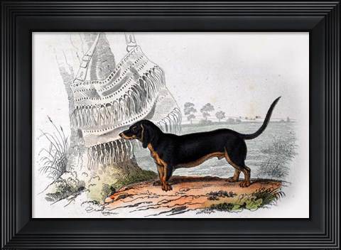 Framed Dog V Print