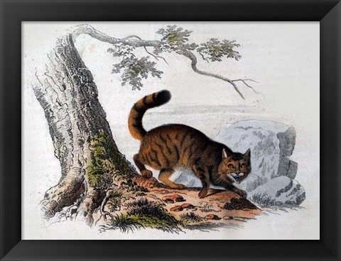 Framed Wild Cat Print