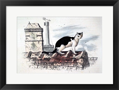 Framed Cat on Roof Top Print