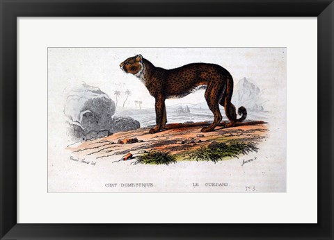 Framed Leopard I Print