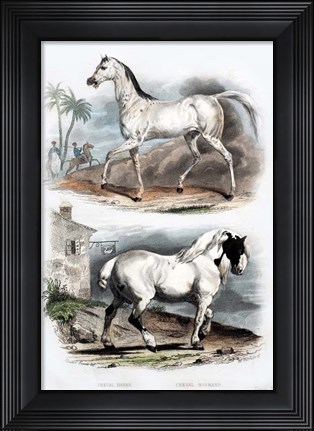 Framed Pair of Horses Print