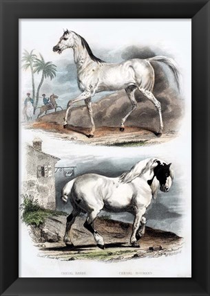 Framed Pair of Horses Print