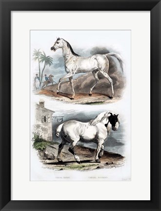 Framed Pair of Horses Print