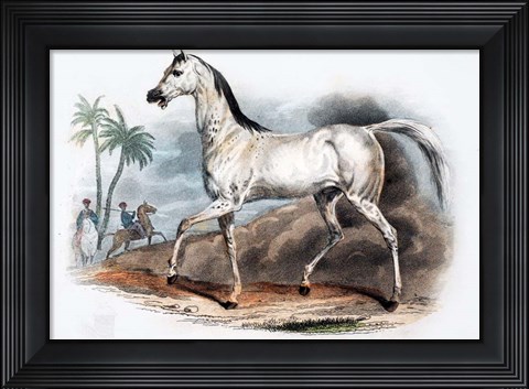 Framed Horse I Print