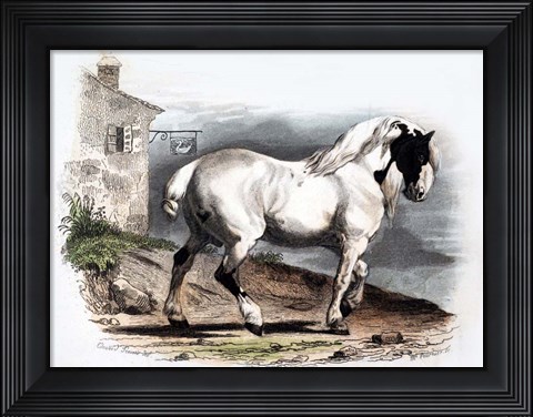 Framed Horse II Print