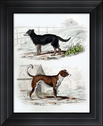 Framed Pair of Dogs IV Print