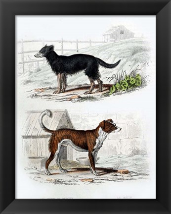 Framed Pair of Dogs IV Print