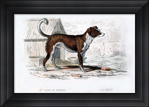 Framed Dog VIII Print
