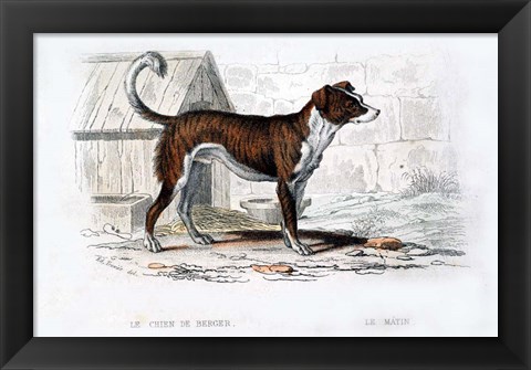 Framed Dog VIII Print