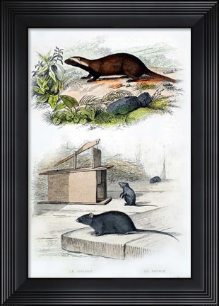 Framed Badger and Mouse Print