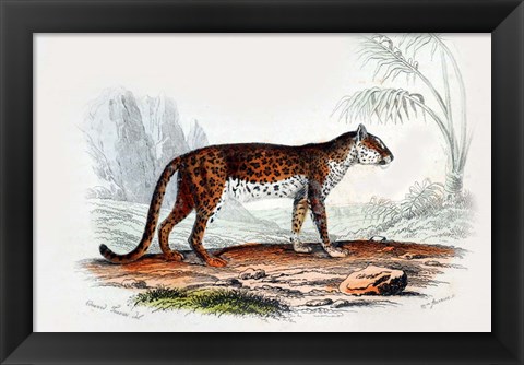 Framed Leopard II Print