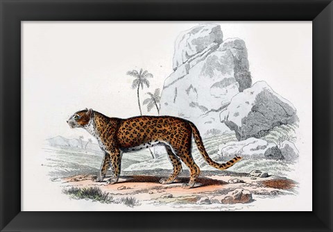 Framed Leopard III Print