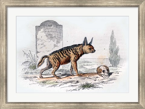 Framed Hyena I Print