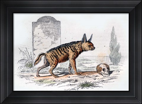 Framed Hyena I Print