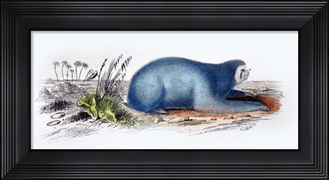 Framed Mammal II Print