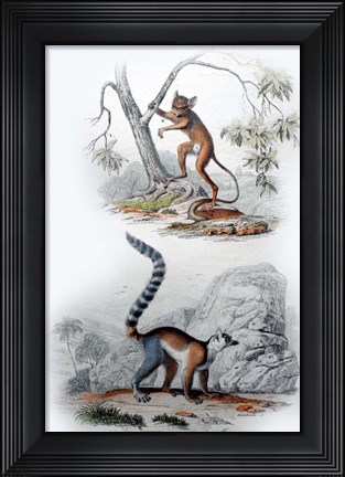 Framed Pair of Monkeys I Print