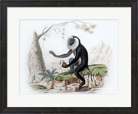 Framed Monkey III Print